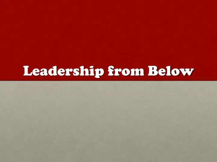 leadership from below