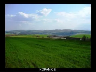 kopanice