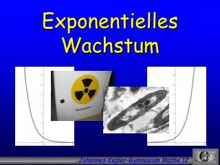 exponentielles wachstum