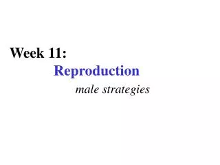 Week 11: 	 Reproduction male strategies