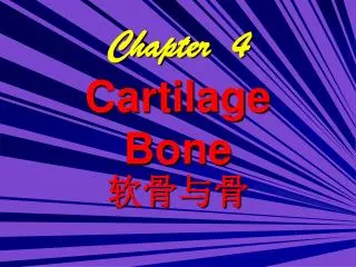 Chapter 4 Cartilage Bone
