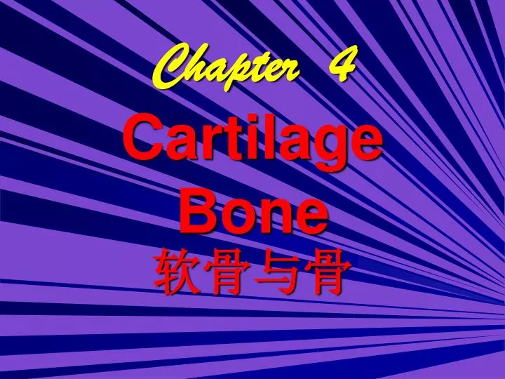 chapter 4 cartilage bone