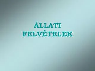 llati felv telek