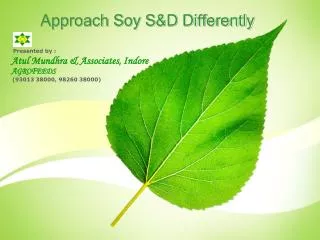 Approach Soy S&amp;D Differently