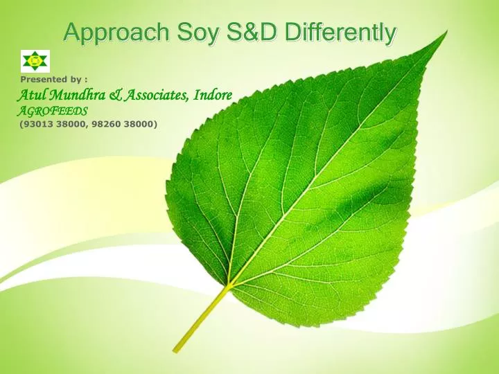 approach soy s d differently