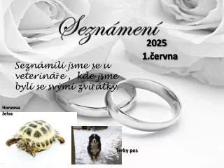 sezn men
