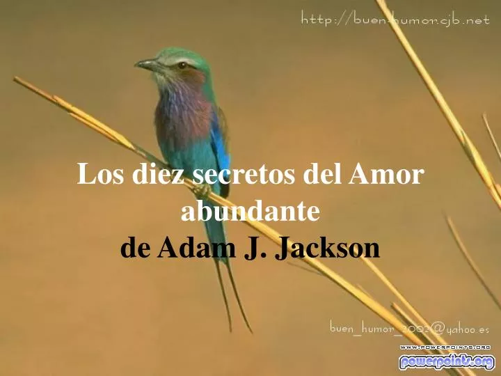 los diez secretos del amor abundante de adam j jackson