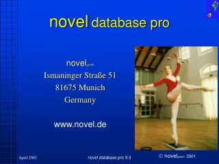 novel database pro