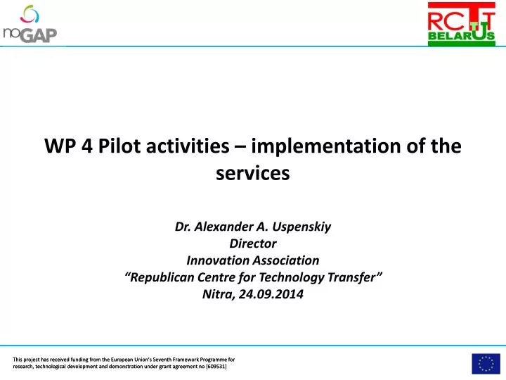 wp 4 pilot activities implementation of the services