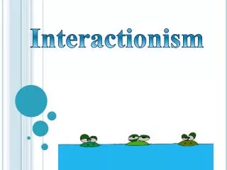 Interactionism