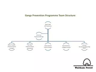 Gangs Prevention Programme Team Structure