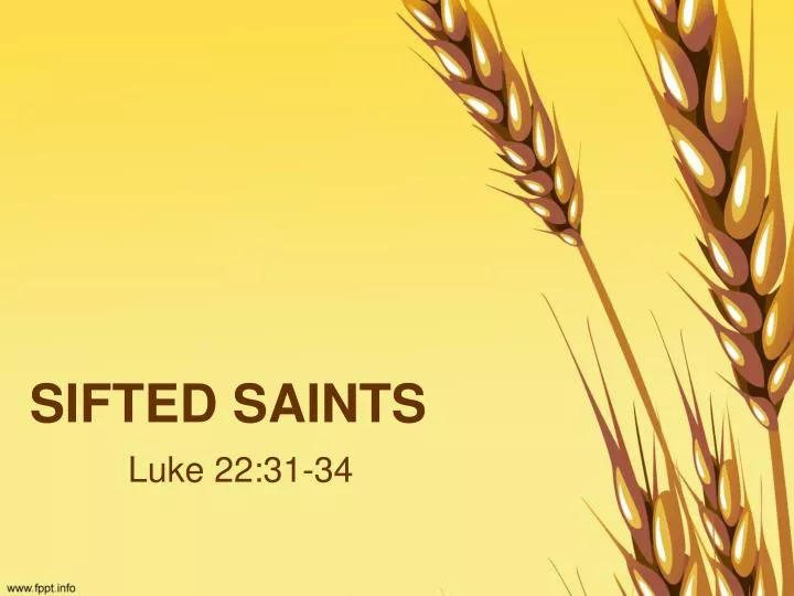 sifted saints
