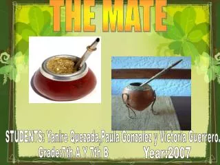THE MATE