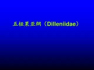 dilleniidae