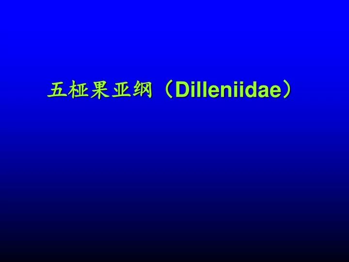 dilleniidae