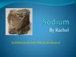 Sodium