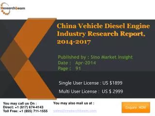 China Vehicle Diesel Engine Market Size, Share 2014-2017