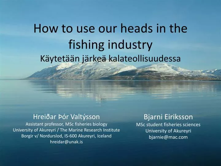 how to use our heads in the fishing industry k ytet n j rke kalateollisuudessa