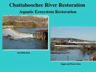 Chattahoochee River Restoration Aquatic Ecosystem Restoration
