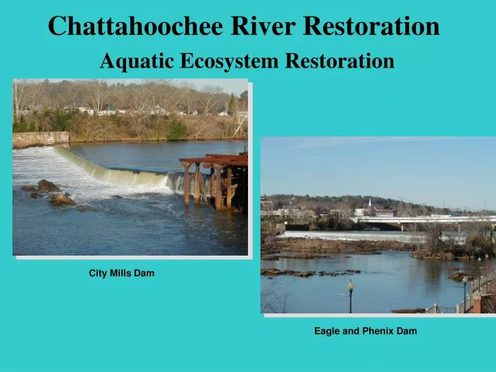 chattahoochee river restoration aquatic ecosystem restoration