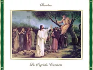 Ciclo C Domingo XXXI del Tiempo Ordinario