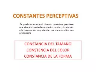 constantes perceptivas