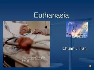 euthanasia