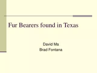 Fur Bearers found in Texas