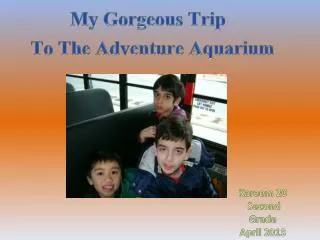 My Gorgeous Trip To The Adventure Aquarium