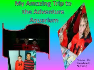 My Amazing Trip to the Adventure Aquarium