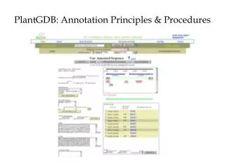 PlantGDB: Annotation Principles &amp; Procedures