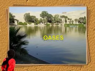 OASES