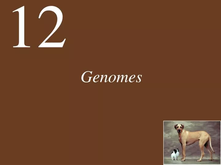 genomes