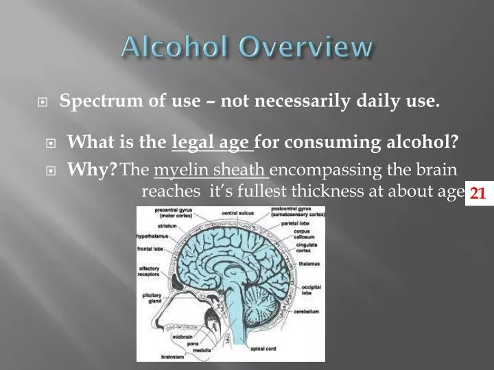 alcohol overview