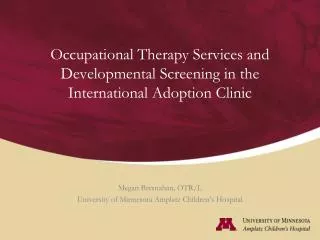 Occupational Therapy Services and Developmental Screening in the International Adoption Clinic
