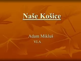 na e ko ice