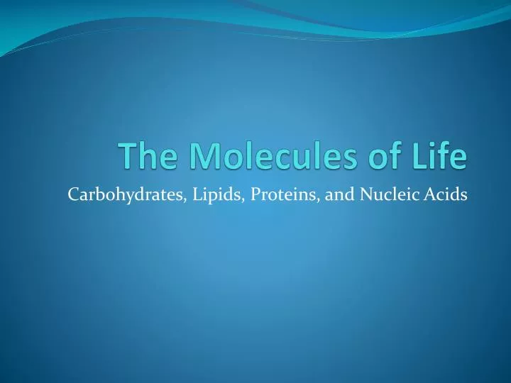the molecules of life
