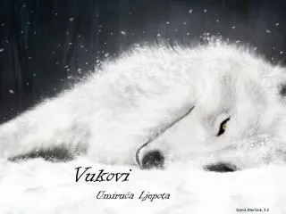 vukovi