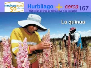 hurbilago cerca