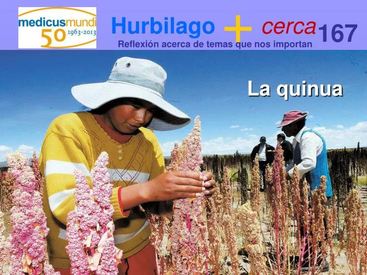 hurbilago cerca