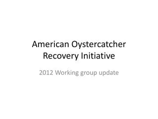 American Oystercatcher Recovery Initiative