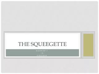 The Squeegette