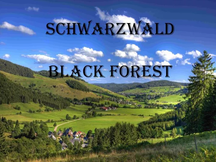 schwarzwald black forest