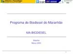 Programa de Biodiesel do Maranhão - slide 1