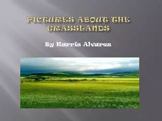 Pictures About The Grasslands