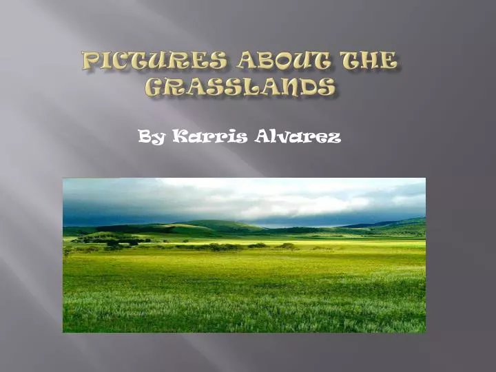 pictures about the grasslands