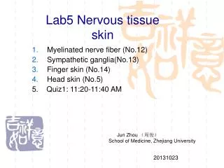 Lab5 Nervous tissue skin