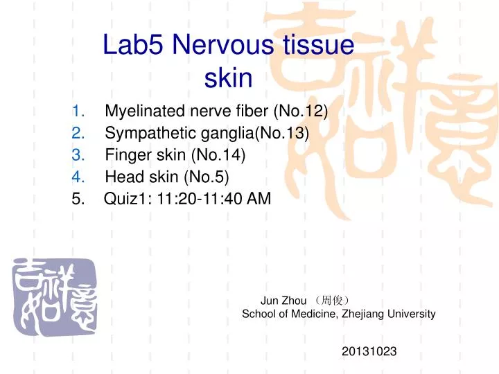 lab5 nervous tissue skin