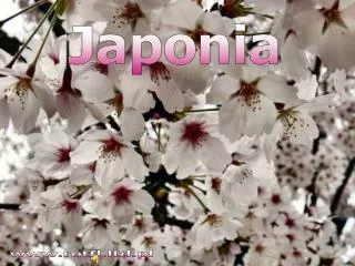 Japonia