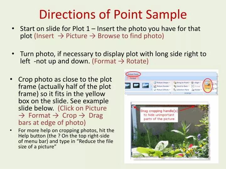 directions of point sample